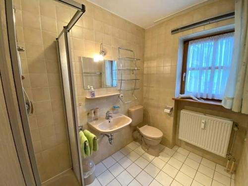 FreudenseeHauzenberg App 303的一间带水槽、卫生间和镜子的浴室
