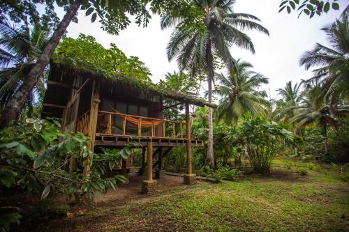 巴亚索拉诺Jardín Botánico del Pacífico y Mecana Ecohotel的棕榈树森林中的房屋