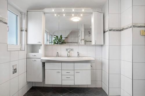 梅肯博伊伦Zäh的白色的浴室设有水槽和镜子
