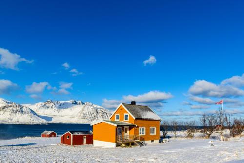 GimsøyLillevik Lofoten的山底下雪中的房子