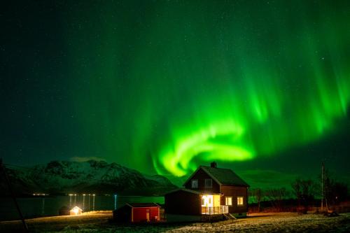 GimsøyLillevik Lofoten的夜空在房子和谷仓上