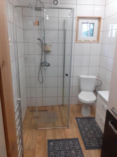 GrodzicznoDomek pod sosnami的带淋浴和卫生间的浴室