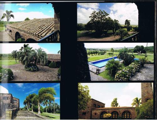 楚伊Hosteria Fortin de San Miguel的棕榈树和游泳池的照片拼合在一起