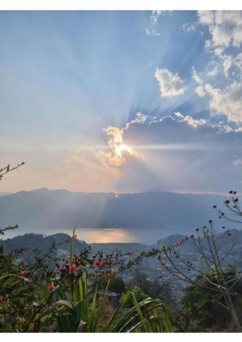 Into The Wild Pokhara