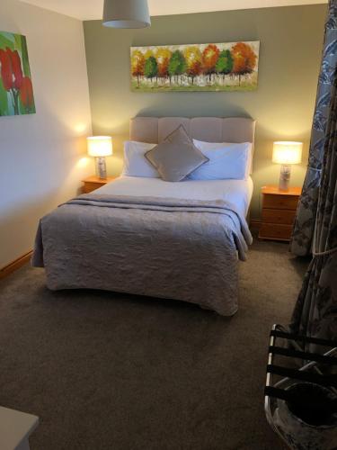 卡斯尔敦贝尔Harbour View Bed & Breakfast的一间卧室配有一张大床和两盏灯。