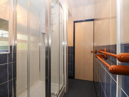 波特马多克First Floor Apartment的浴室里设有玻璃门淋浴