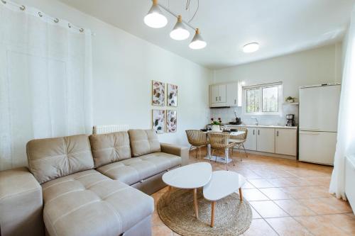 LoúkhiouEllafos Traditional Living的客厅配有沙发和桌子