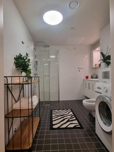 奥勒松Central Apartment Ålesund的带淋浴、卫生间和盥洗盆的浴室