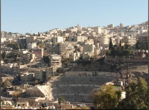 安曼Al Amawi Hostel的享有一座山丘上建筑的城市美景