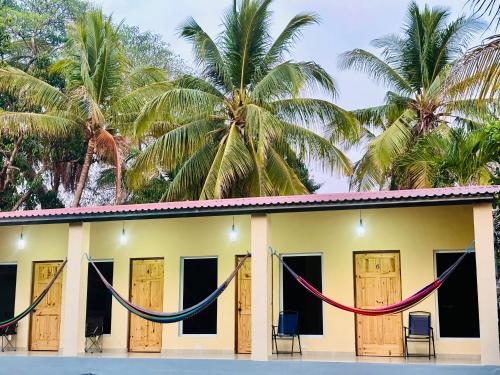 TamaniqueHostal Camila’s的棕榈树屋前设有吊床