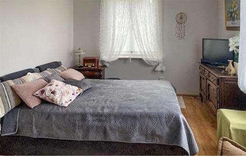 切哈诺维茨Stunning Home In Trynisze Moszewo With Wifi的一间卧室配有一张大床和电视