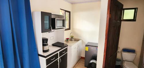 雅科Pura Vida Macaw Paradise的一间带水槽和微波炉的小厨房