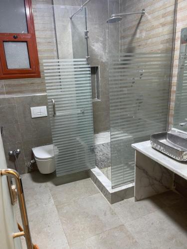 Nag` NaqshaApartment in Luxor Resort, next to Raya Market的一间带玻璃淋浴和卫生间的浴室