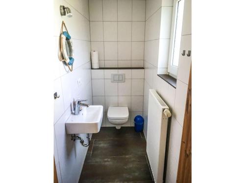 博尔库姆Borkum Freedom 2的一间带卫生间和水槽的小浴室