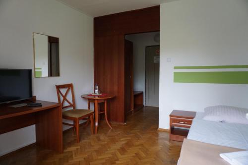 隆代克-兹德鲁伊Geovita Lądek Zdrój的一间卧室配有一张床、一张书桌和一台电视