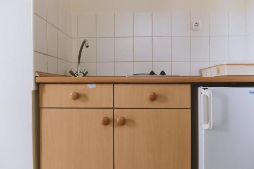 塞格德塞格德露营地及公寓的厨房配有柜台和白色冰箱。