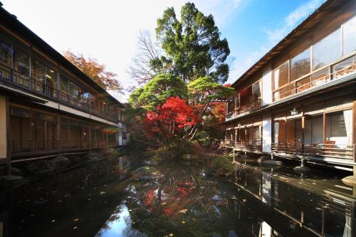 伊豆新井旅馆 的两个建筑前的池塘,有红树