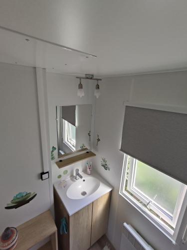 鲁西隆地区卡内Mobil home 3 chambres avec vue sur l'étang - 4*的一间带水槽和镜子的浴室以及窗户。