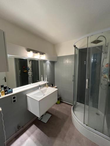 圣莫里斯Appartement spacieux , proche JO Paris的一间带水槽和淋浴的浴室