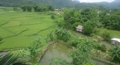 枚州县Bình Minh hotel的稻田和房子的空中景观
