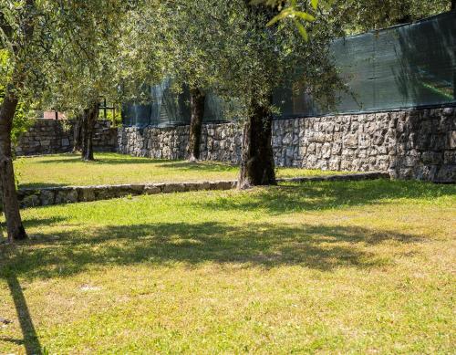 莫尼加Camping Fontanelle的石墙旁公园里的一群树木