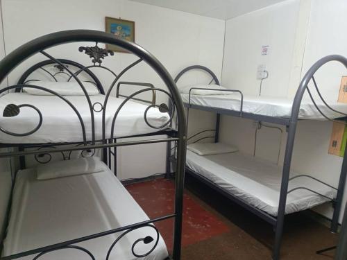 乔治市seaview hostel的客房内的两张双层床