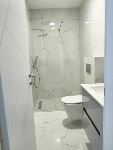 蒂瓦特Tivat Apartman的带淋浴和卫生间的白色浴室