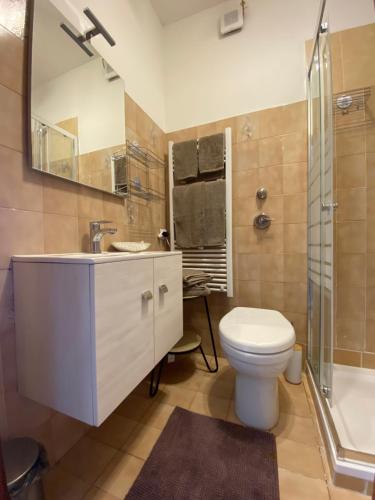 诺瓦拉Appartamento 44的一间带水槽、卫生间和淋浴的浴室