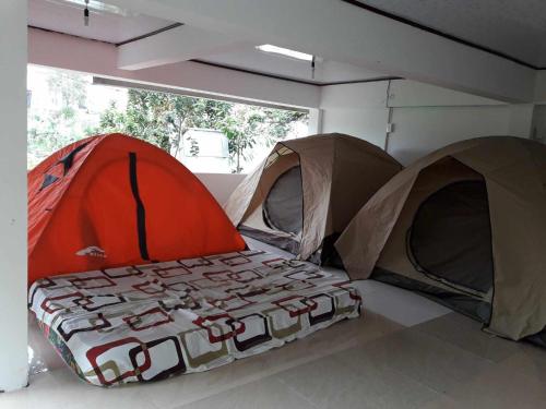 大叻DALAT INN PEACEFUL的窗户客房内的2个帐篷
