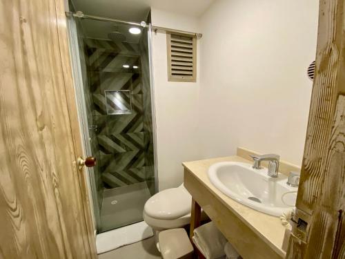 卡塔赫纳Hotel Dorado Plaza Bocagrande的带淋浴、卫生间和盥洗盆的浴室