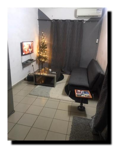 雅温得Studio - Yaoundé -Bastos-Nlongkak的客厅配有圣诞树和椅子