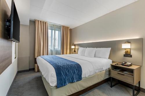 赫恩登Comfort Inn Herndon-Reston的酒店客房设有一张大床和一台电视。