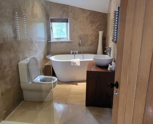 温德米尔木林酒店的带浴缸、卫生间和盥洗盆的浴室