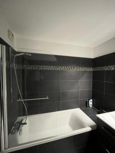 皮托Appartement moderne et agréable, idéalement placé pour JO 2024的带浴缸和盥洗盆的浴室