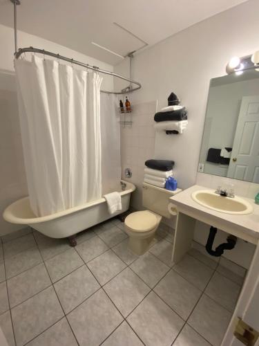 奇利瓦克Royal Hotel Chilliwack的带浴缸、卫生间和盥洗盆的浴室