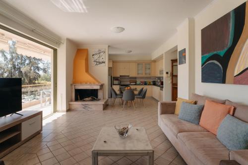 帕特雷Nefeli City Apartments的带沙发和壁炉的客厅