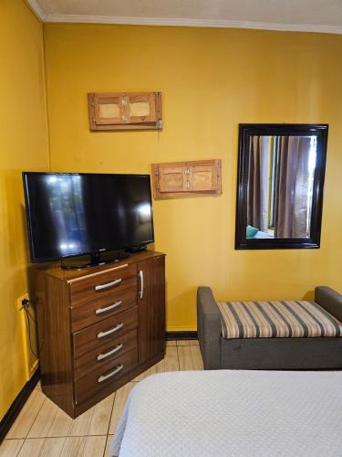 莫利纳Hostal Pucara Molina的客厅配有平面电视和沙发。