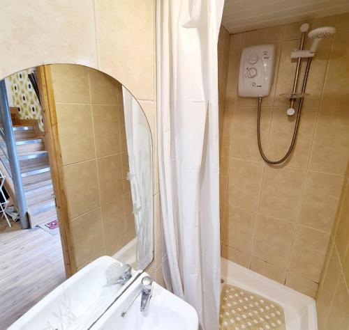 都柏林The Lodge的带淋浴、盥洗盆和镜子的浴室