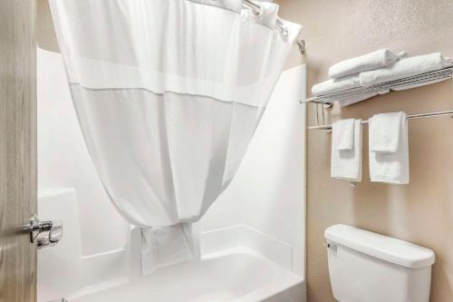 特拉华Quality Inn & Suites Delaware的带淋浴帘和卫生间的浴室