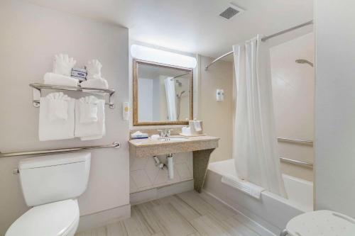 乔治湖Comfort Inn & Suites的浴室配有卫生间、盥洗盆和淋浴。