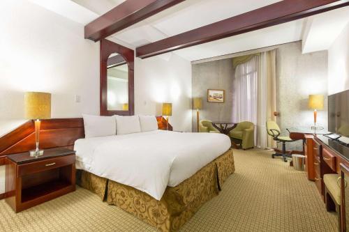 圣何塞哥斯达黎加圣何塞丽笙酒店的酒店客房设有一张大床和一张书桌。