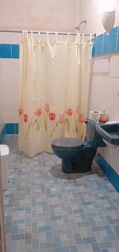 莱昂D' all leon hostal的一间带卫生间和淋浴帘的浴室