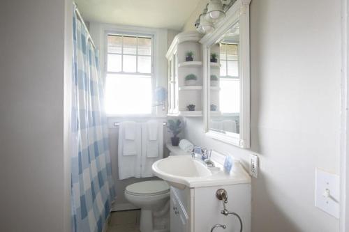 伯明翰Redmont Revival-Unit B-Walkable-UAB的白色的浴室设有卫生间和水槽。