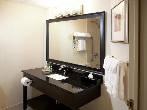 温尼伯温尼伯市中心假日套房酒店的一间带水槽和大镜子的浴室