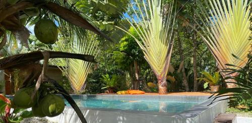 道伊斯Bohol Island Homestay的棕榈树花园内的游泳池