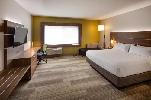 特勒斯Holiday Inn Express & Suites Terrace, an IHG Hotel的配有一张床和一台平面电视的酒店客房