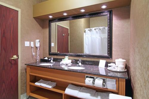 卡尔加里南卡尔加里智选假日酒店的一间带两个盥洗盆和大镜子的浴室