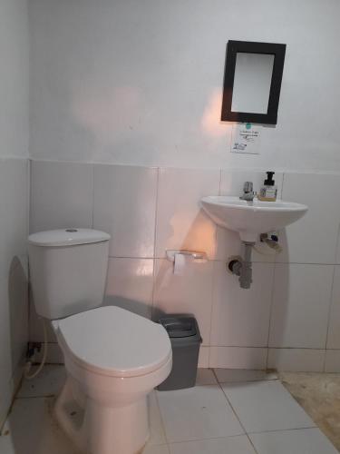 巴尔Hostal El Nido del Azulejo的一间带卫生间和水槽的浴室