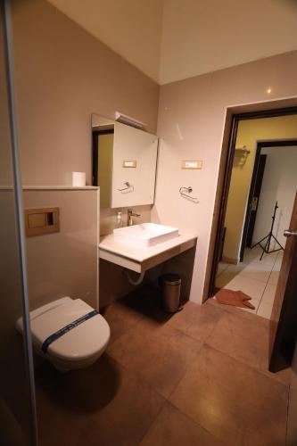 埃尔加德YELLOW LAKE RESORTS & SPA, Yercaud的一间带水槽、卫生间和镜子的浴室
