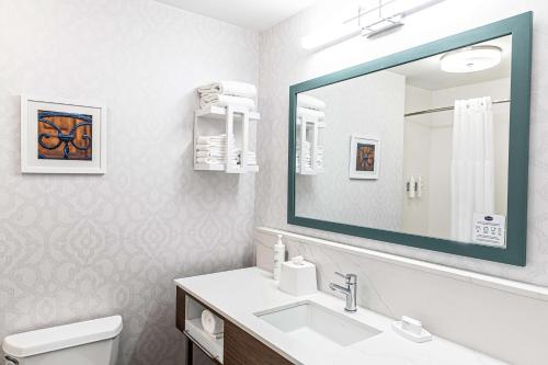 查尔斯顿查尔斯顿-西阿什利汉普顿套房酒店的一间带水槽和大镜子的浴室